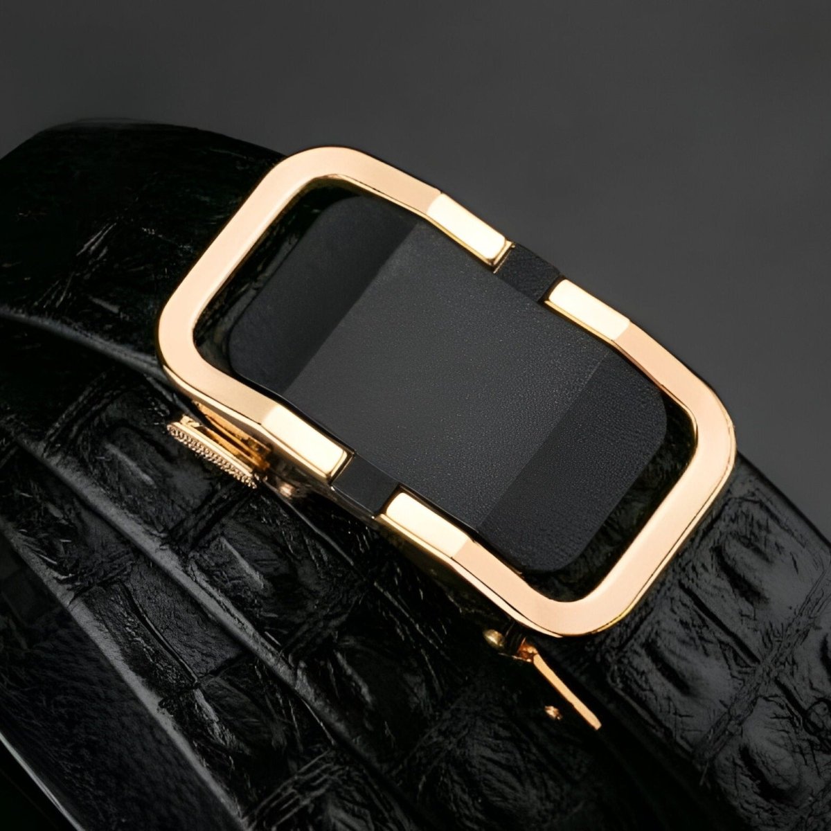 Belt Aspect Crocodile Buckle Automatic For Men Model Shayne by Zictor