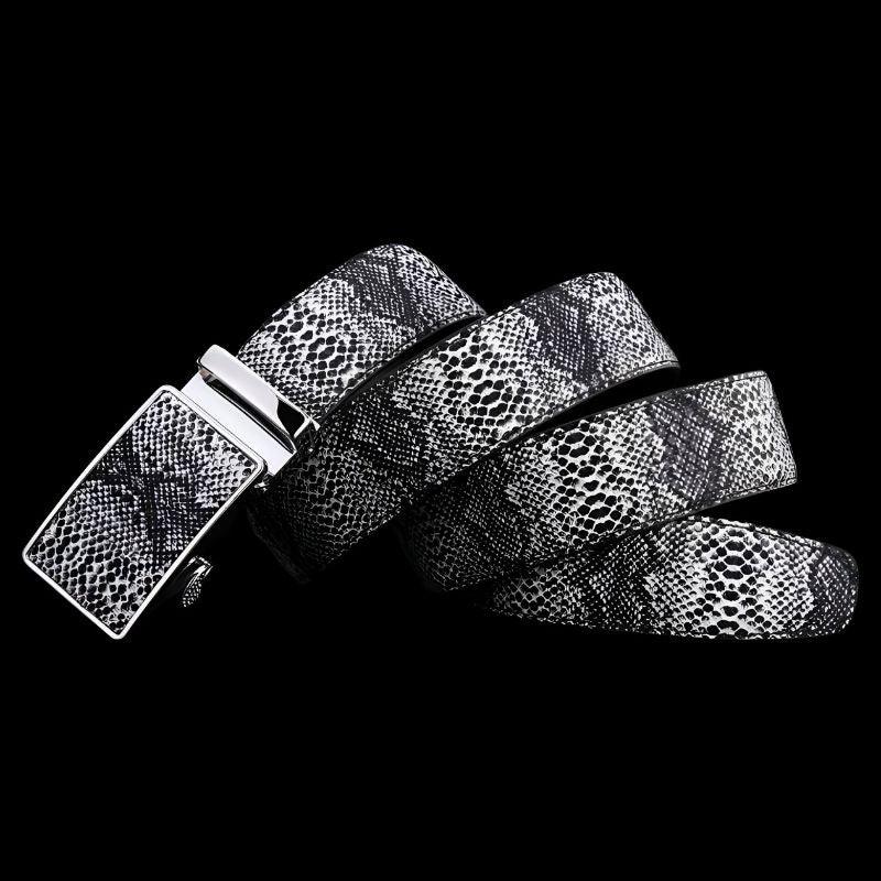 Belt Costume Leather Veritable Motif Serpent For Men Model Ayo by Zictor