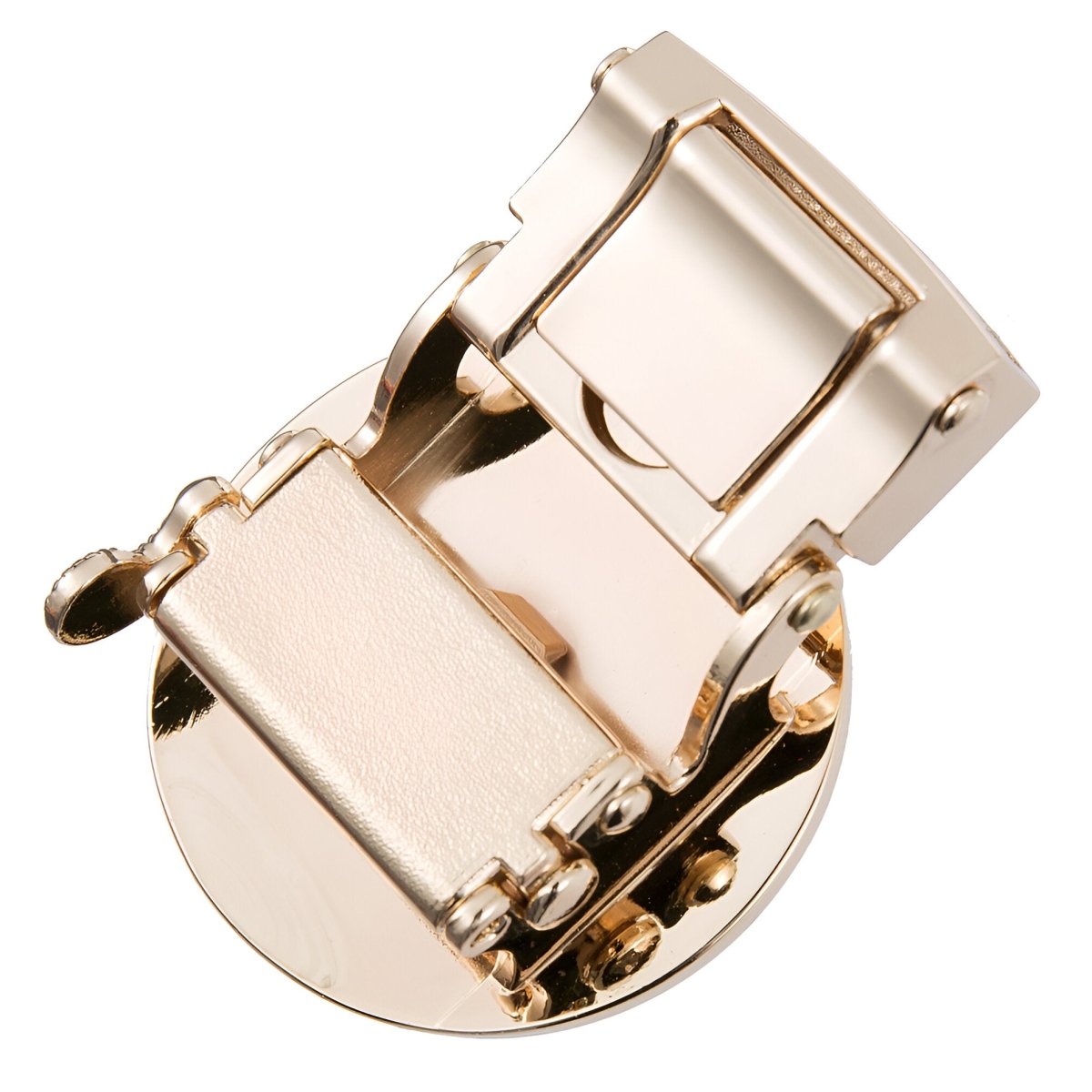 Buckle Of Belt Automatic TO Motif Cygne Model Jordyn by Zictor