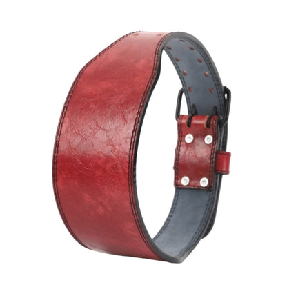 Belt Force In Leather TO Laspect Vieillit Model Quince by Zictor